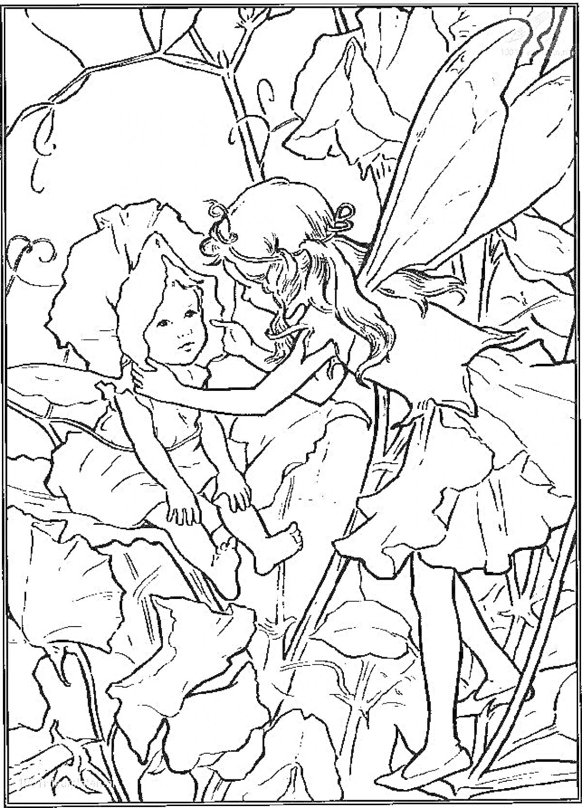 Раскраска Фея с крыльями держит эльфа среди больших листьев и стеблей