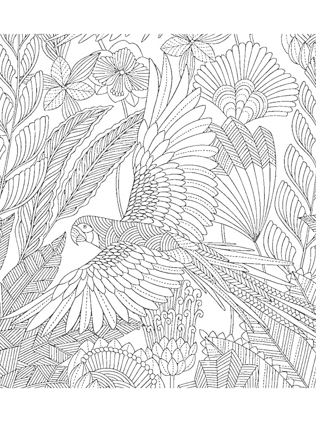 Раскраска Попугай среди различных цветов и листьев, антистресс раскраска