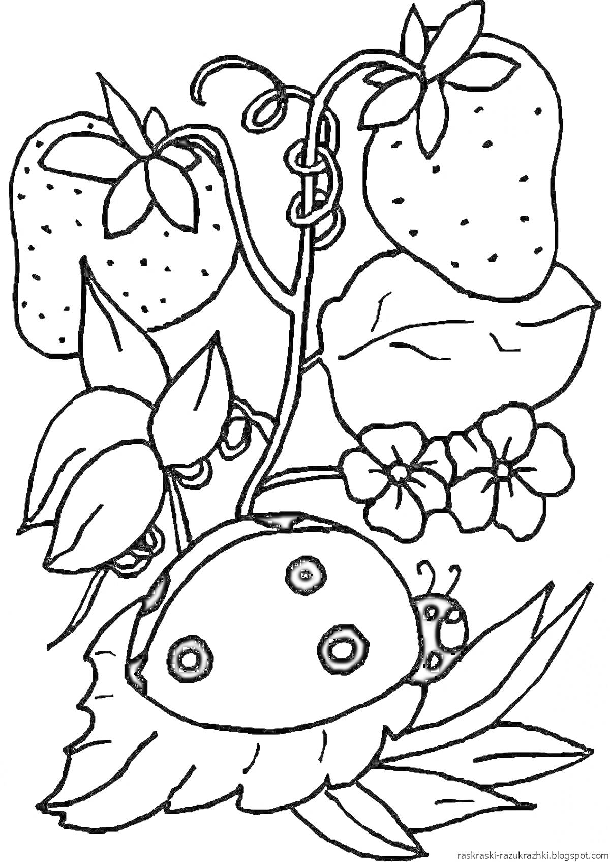 Раскраска Божья коровка на листе с цветком и клубникой