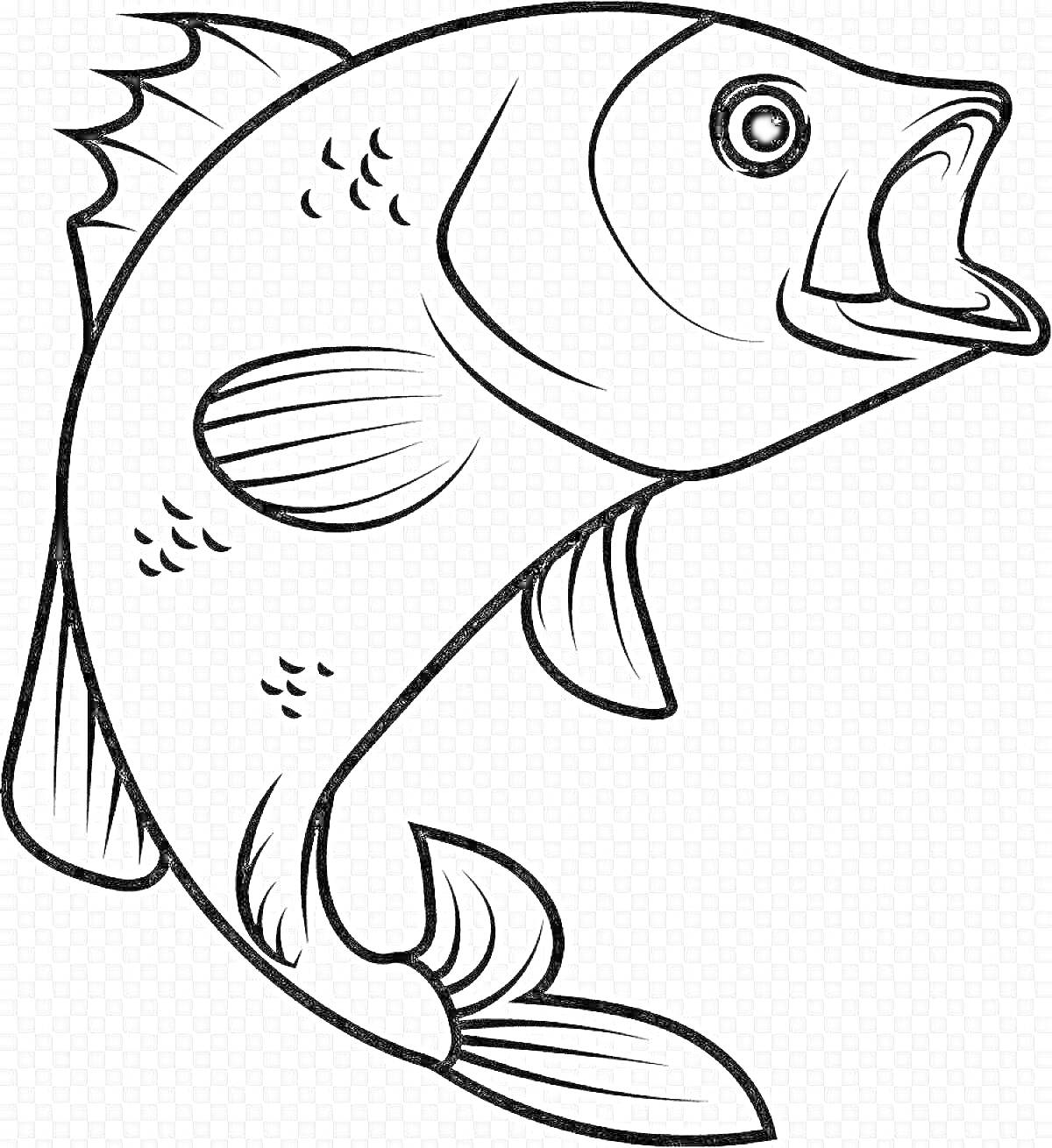 На раскраске изображено: Рыба, Морская жизнь, Открытый рот, Плавники, Контурные рисунки