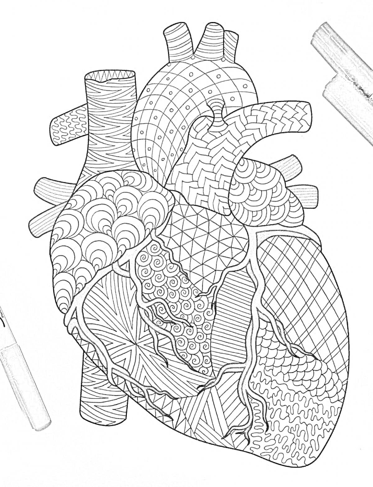 Раскраска Анатомическое сердце с узорами для раскрашивания, изображение с маркерами в углах
