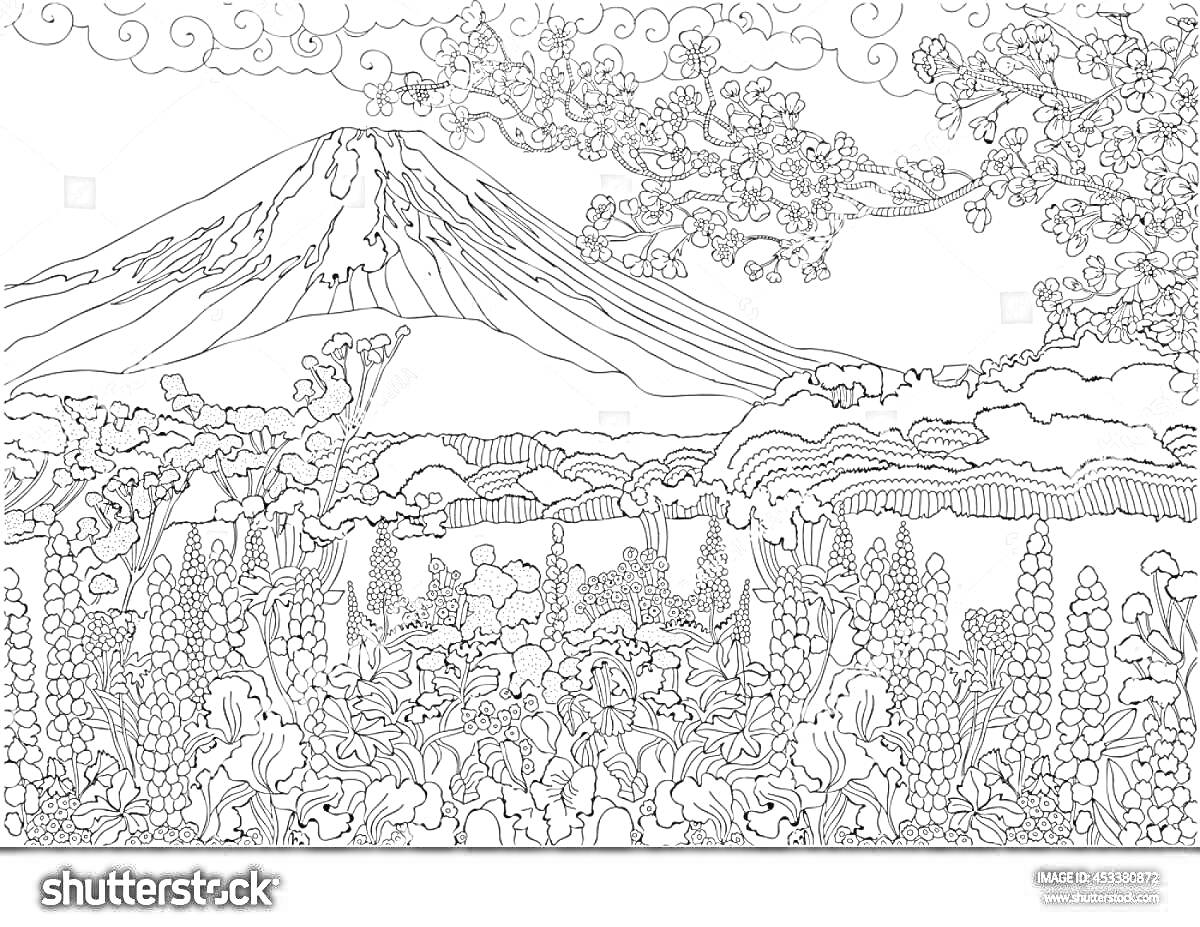 Раскраска Гора на фоне ландшафта с цветами, деревьями и облаками