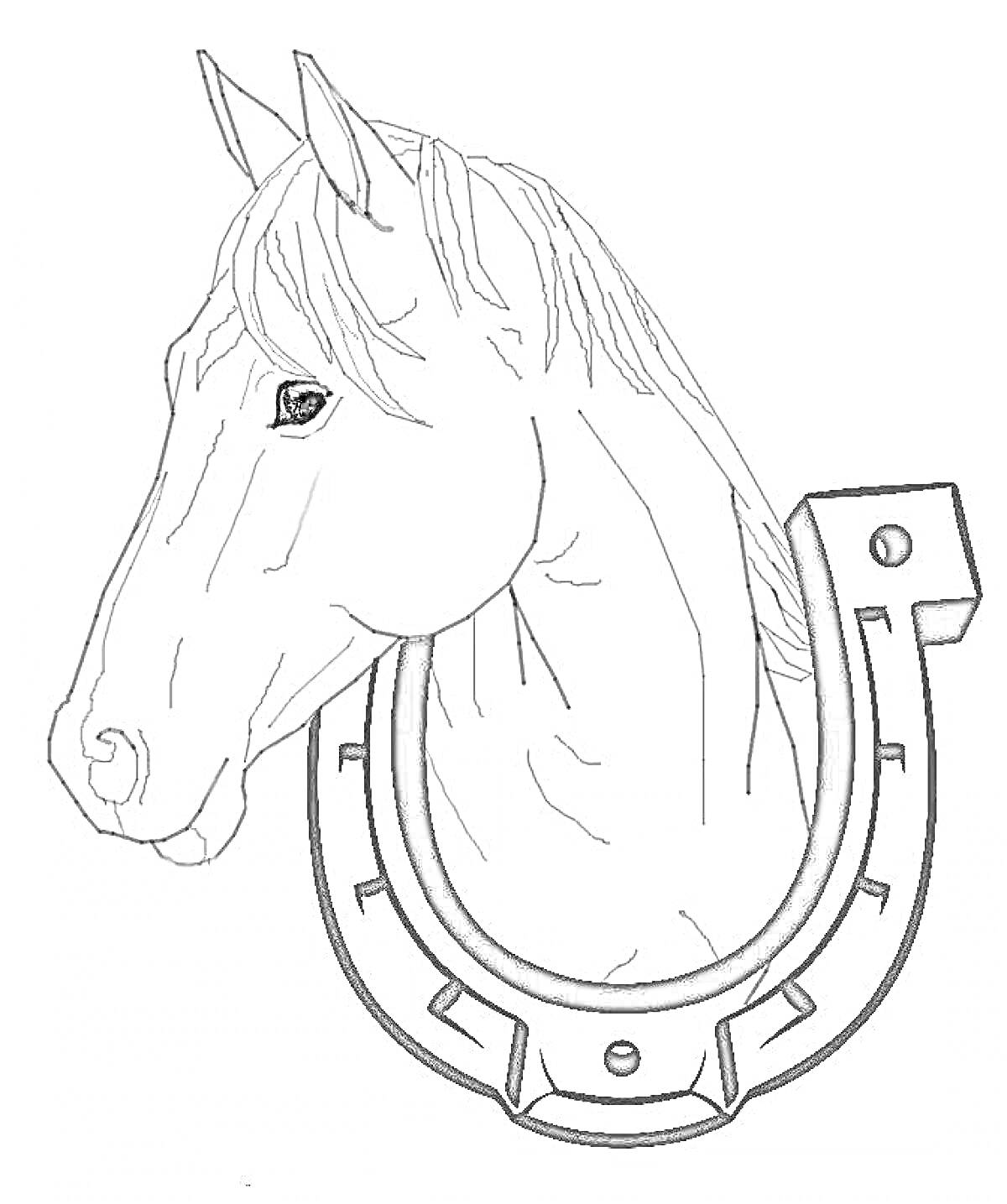 На раскраске изображено: Голова лошади, Подкова, Конь