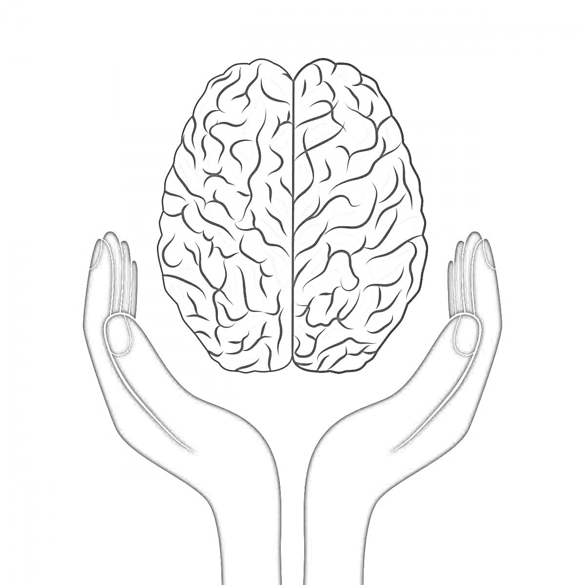 Раскраска Мозг, поддерживаемый двумя руками
