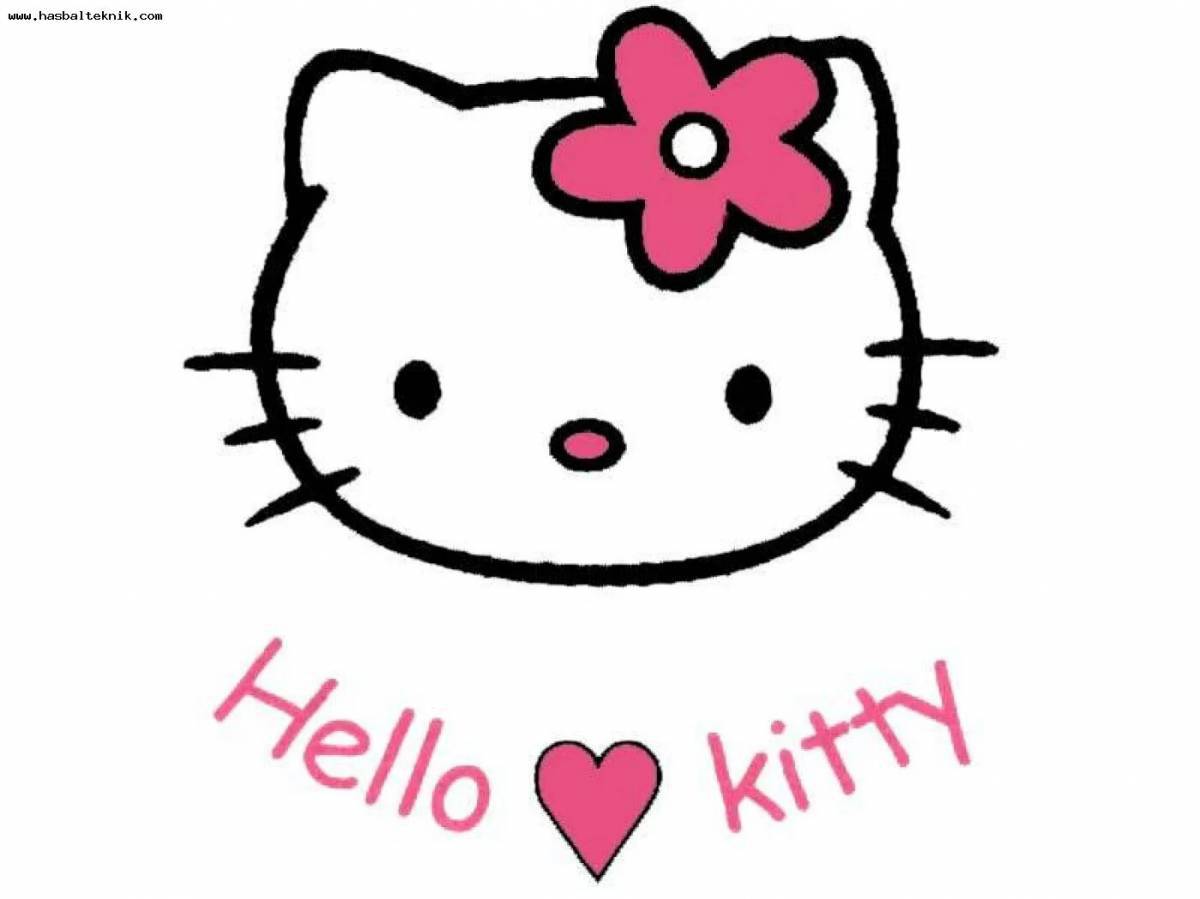 Hello kitty #18