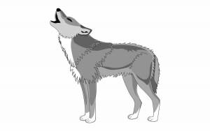 Раскраска волк для детей #11 #1191