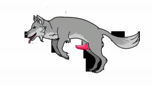 Раскраска волк для детей #18 #1198