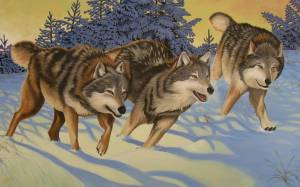 Раскраска волк для детей #25 #1205