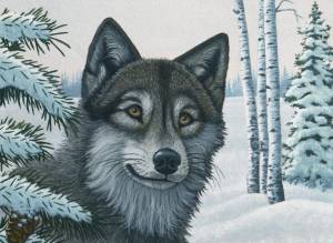Раскраска волк для детей #31 #1211