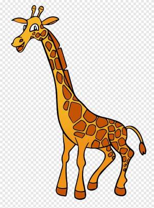 Раскраска жираф для детей #6 #3644