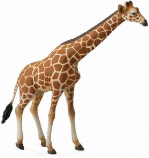 Раскраска жираф для детей #8 #3646