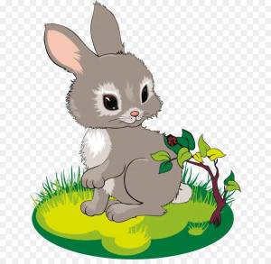 Раскраска заяц для детей #30 #3828