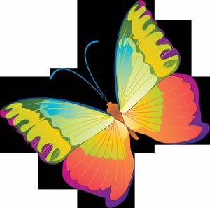 Раскраска бабочка для детей #3 #585