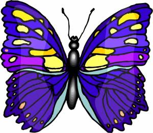 Раскраска бабочка для детей #20 #602