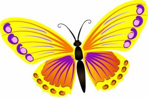 Раскраска бабочка для детей #26 #608