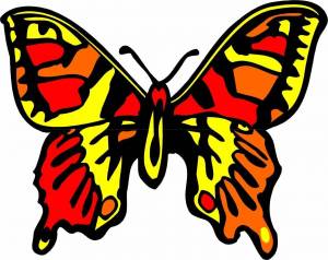 Раскраска бабочка для детей #28 #610