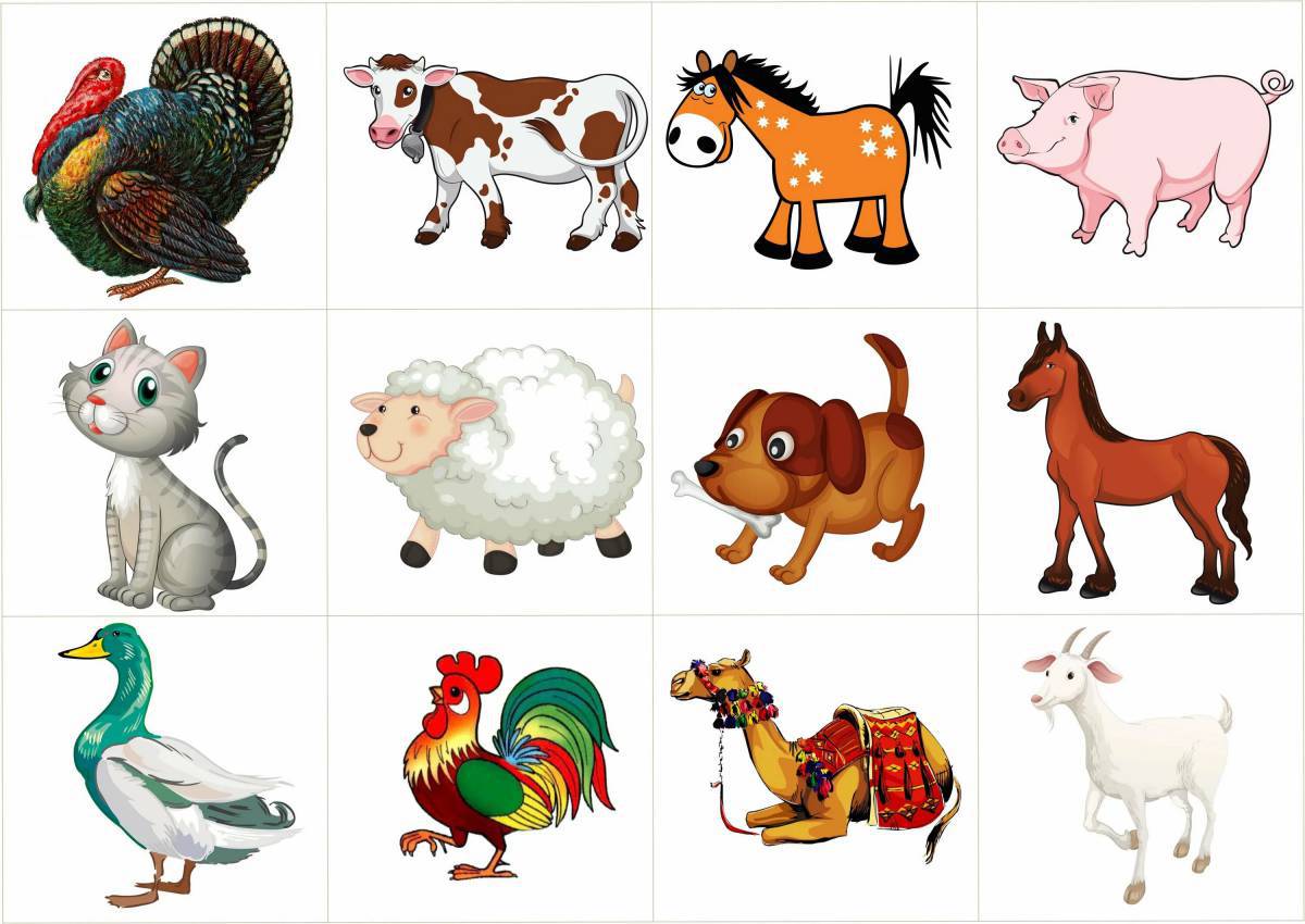 Картинка Животные для детей #35