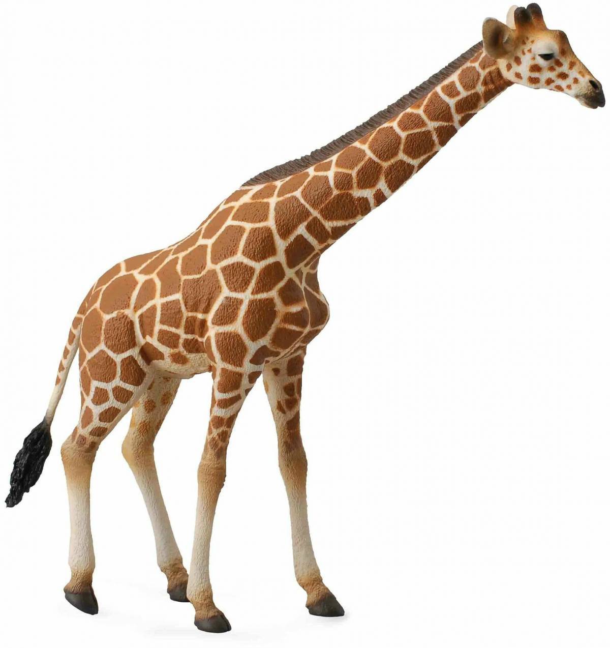 Жираф для детей #8