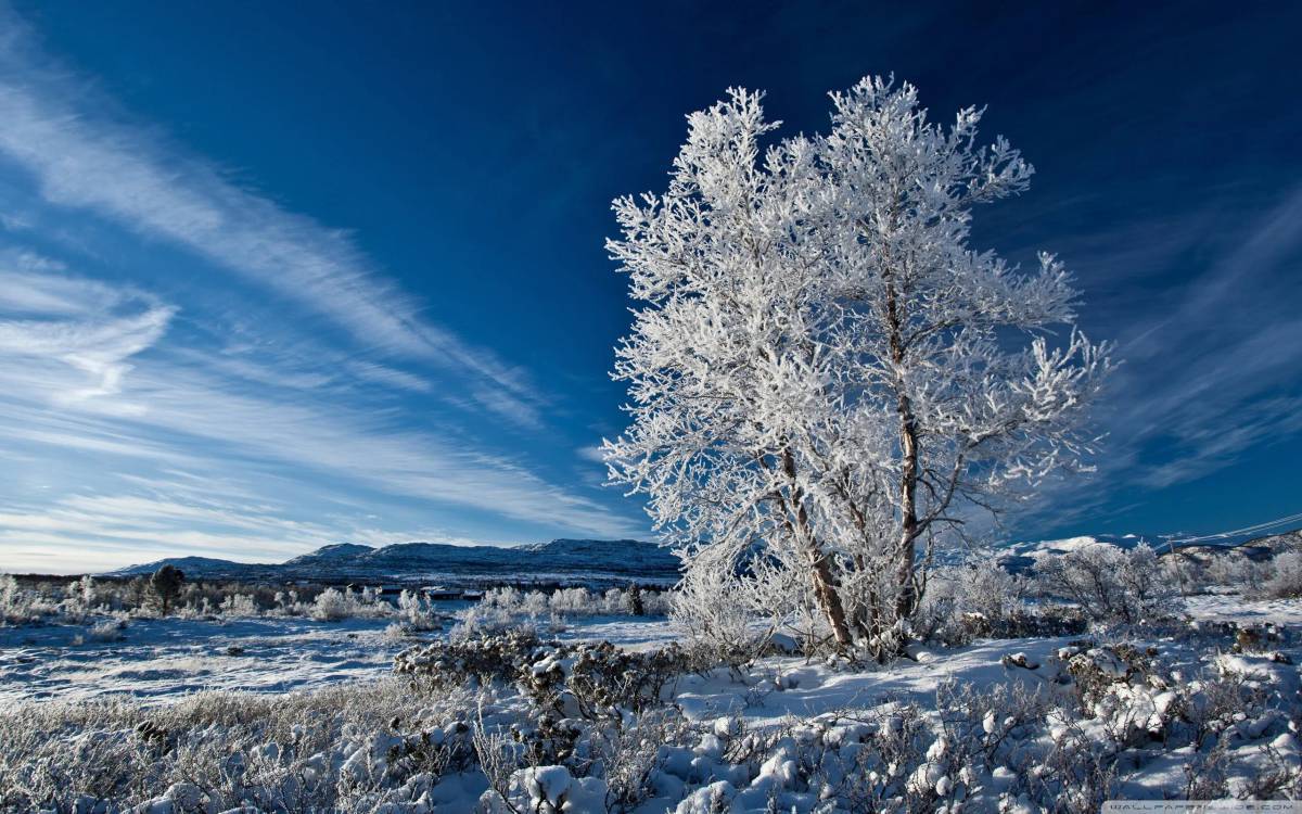 картинки времена года зима природа