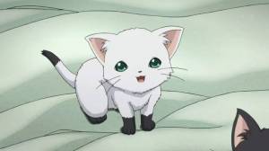 Раскраска аниме кошка #3 #36262