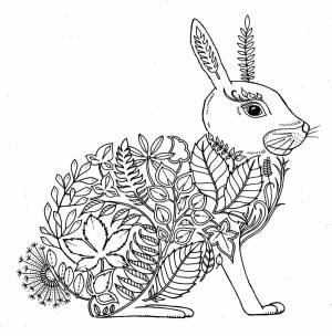 Раскраска антистресс кролик #25 #37274