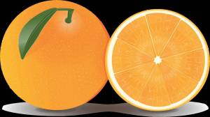 Раскраска апельсин для детей #20 #37777