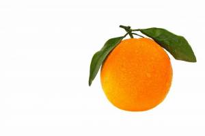 Раскраска апельсин для детей #22 #37779