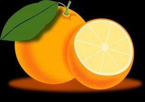 Раскраска апельсин для детей #24 #37781
