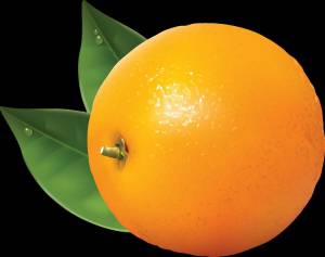 Раскраска апельсин для детей #35 #37792