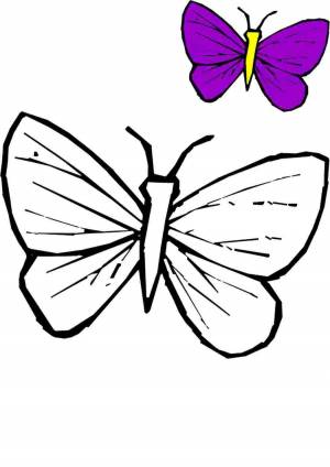 Раскраска бабочка для детей 3 4 лет #4 #38243