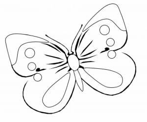 Раскраска бабочка для детей 3 4 лет #18 #38257
