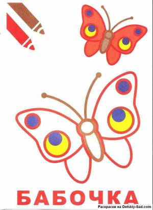 Раскраска бабочка для детей 4 5 лет #30 #38298