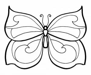 Раскраска бабочка для детей 4 5 лет #36 #38304