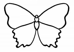 Раскраска бабочка для детей 4 5 лет #37 #38305