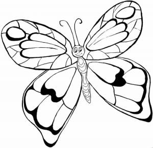 Раскраска бабочка для детей 6 7 лет #7 #38312