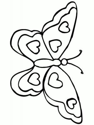 Раскраска бабочка для детей 6 7 лет #14 #38319