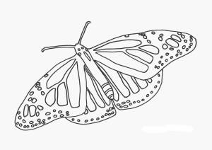 Раскраска бабочка для детей 6 7 лет #18 #38323