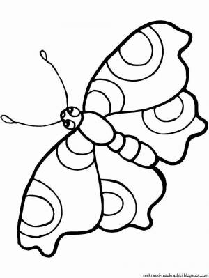 Раскраска бабочка для детей 6 7 лет #26 #38331