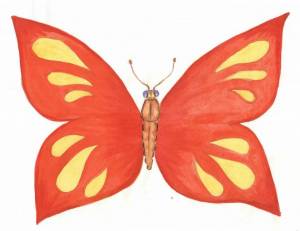 Раскраска бабочка для детей 6 7 лет #30 #38335