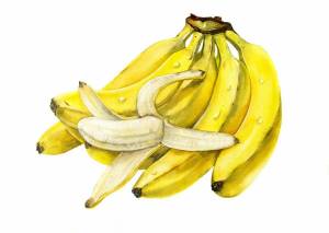 Раскраска банан для детей #18 #38623
