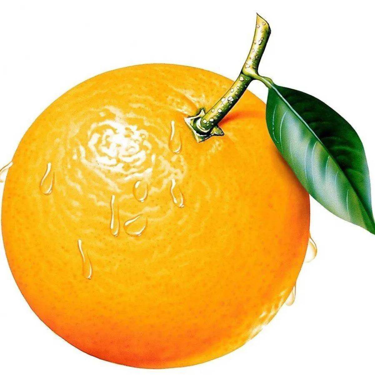 Апельсин для детей #8