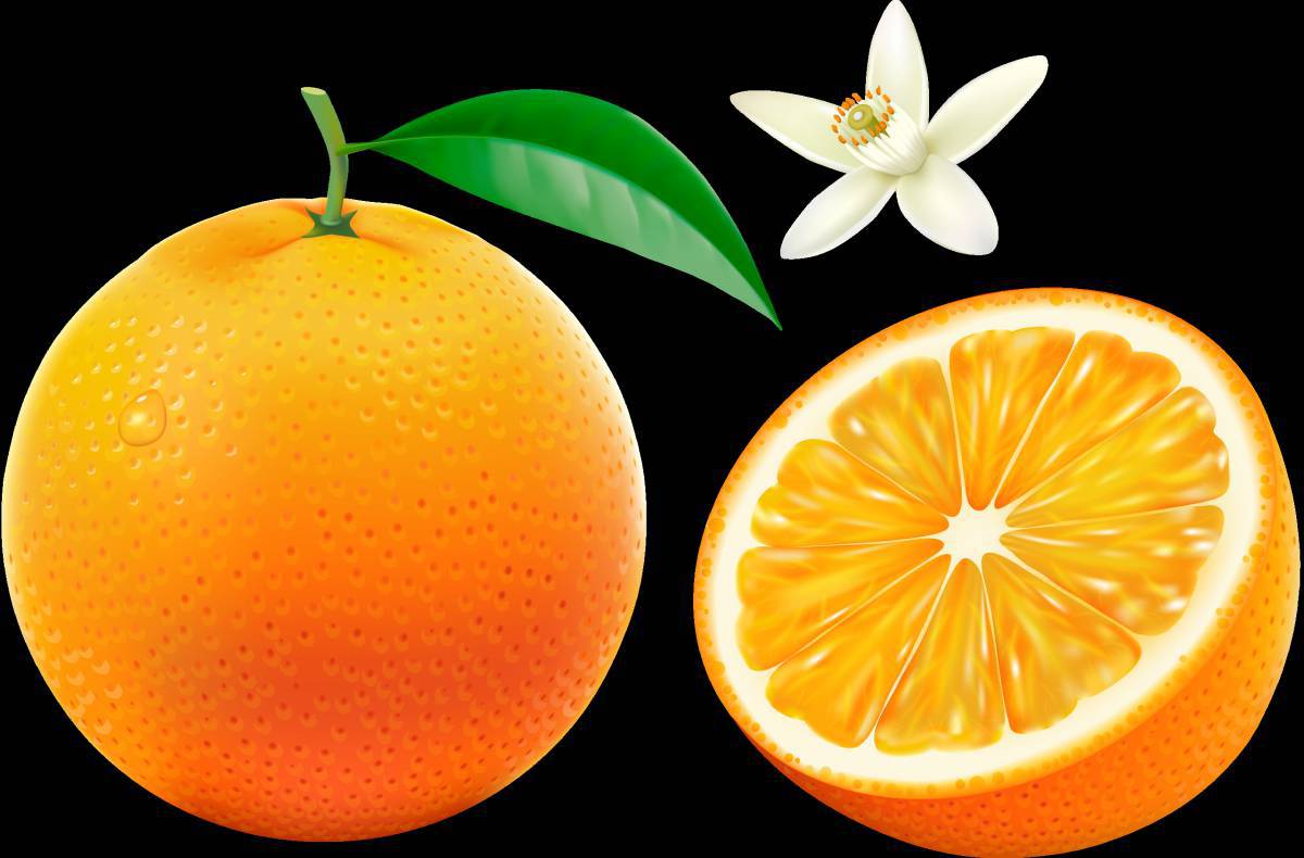 Апельсин для детей #11