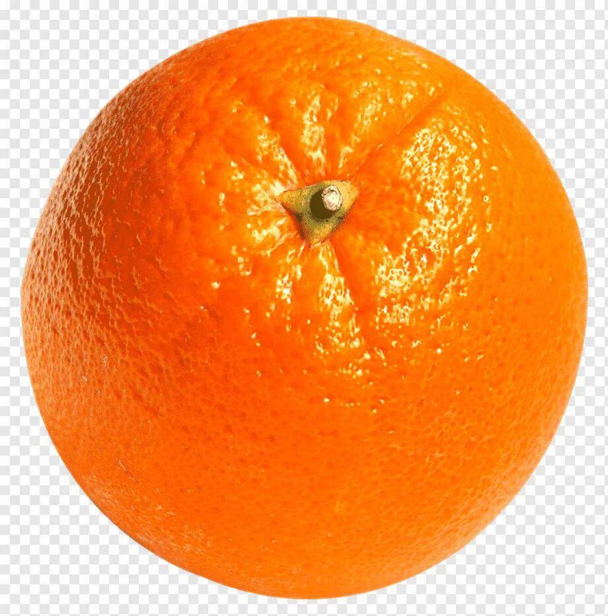 Апельсин для детей #23