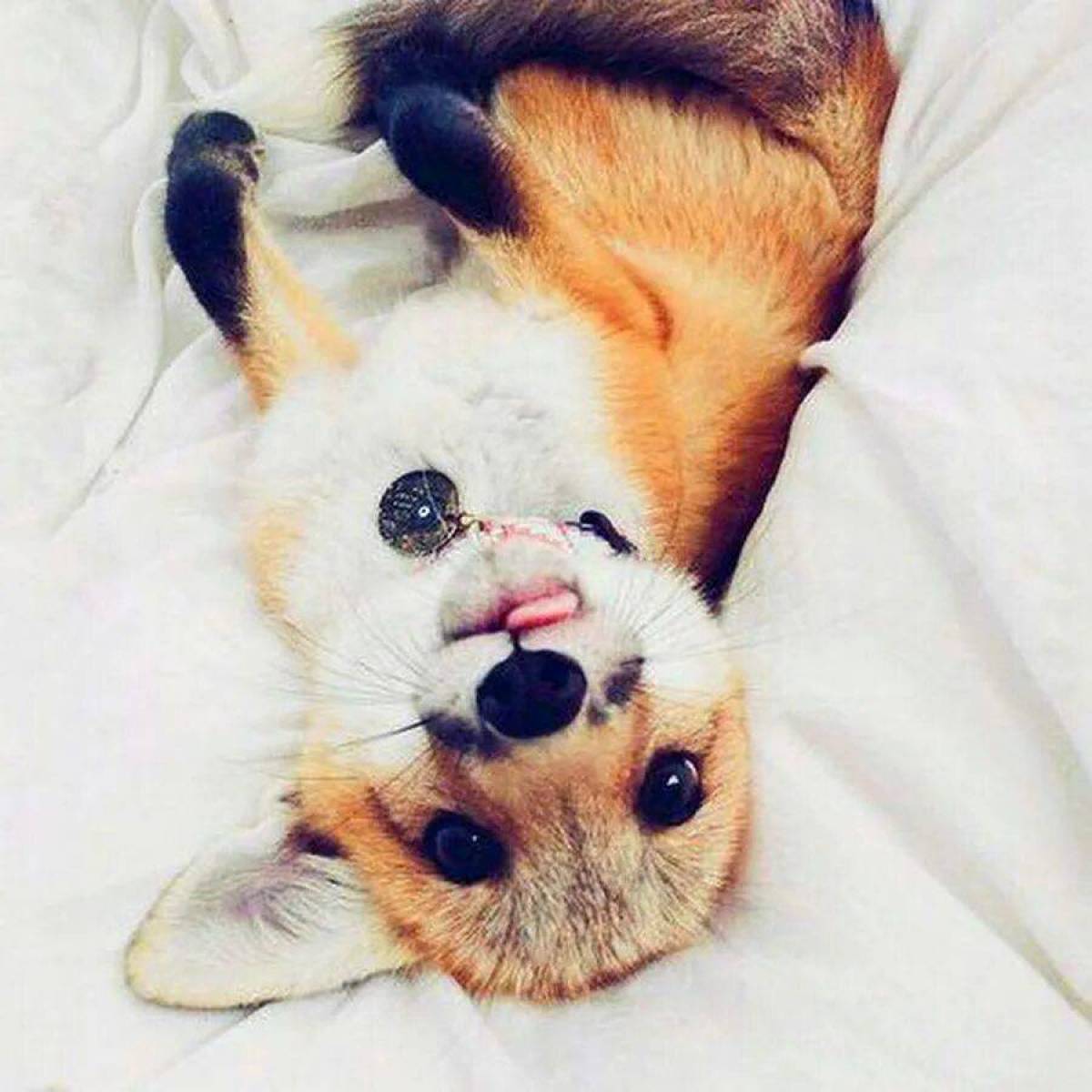 Мимимишные фотки
