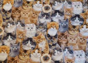 Раскраска миллион котов #13 #396268
