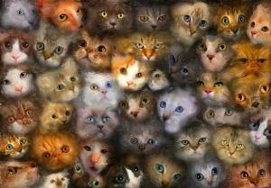 Раскраска миллион котов #24 #396279