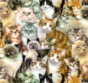 Раскраска миллион котов #29 #396284
