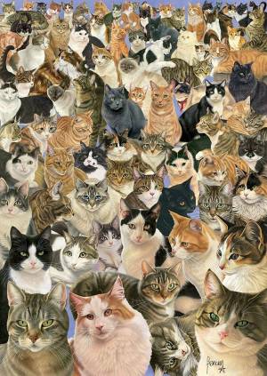 Раскраска миллион котов #36 #396291