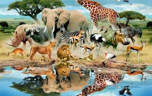 Раскраска мир животных #14 #398659