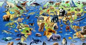 Раскраска мир животных #23 #398668